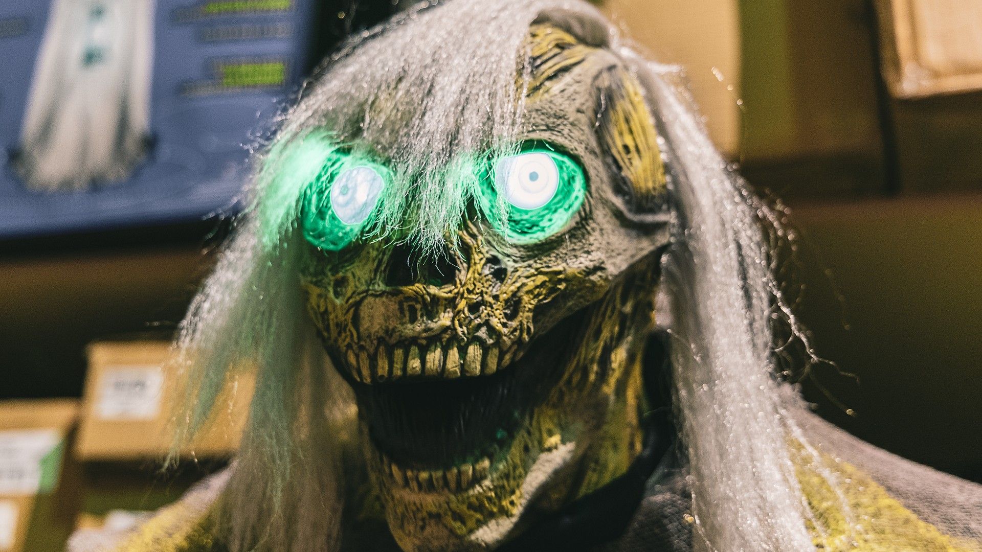 Animatronics & Decorations